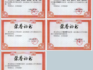 世界杯官网学生在第二届安徽省大学生物流设计大赛中取得佳绩