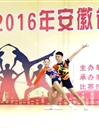 世界杯官网健美操队在2016年安徽省大学生健美操比赛中喜获佳绩