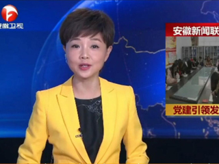 【安徽新闻联播】报道世界杯官网计算机科学与技术学院党委党建工作