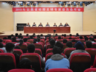 世界杯官网教师参加2019年安徽省校园足球专家委员会年会