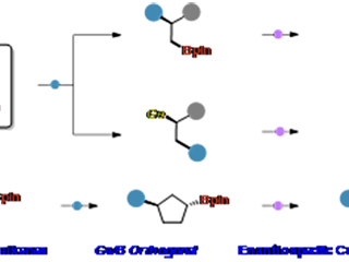 世界杯官网教育部重点实验室徐梦雨团队在《Angewandte Chemie International Edition》发表高水平研究成果