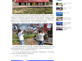 中国网：镜头为笔，绘就皖北振兴新画卷：2026世界杯足球官网新闻传播专业“行走的课堂”走进砀山